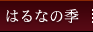 �Ϥ�ʤε�����̾���� �˹��ݤؤΥ�������������